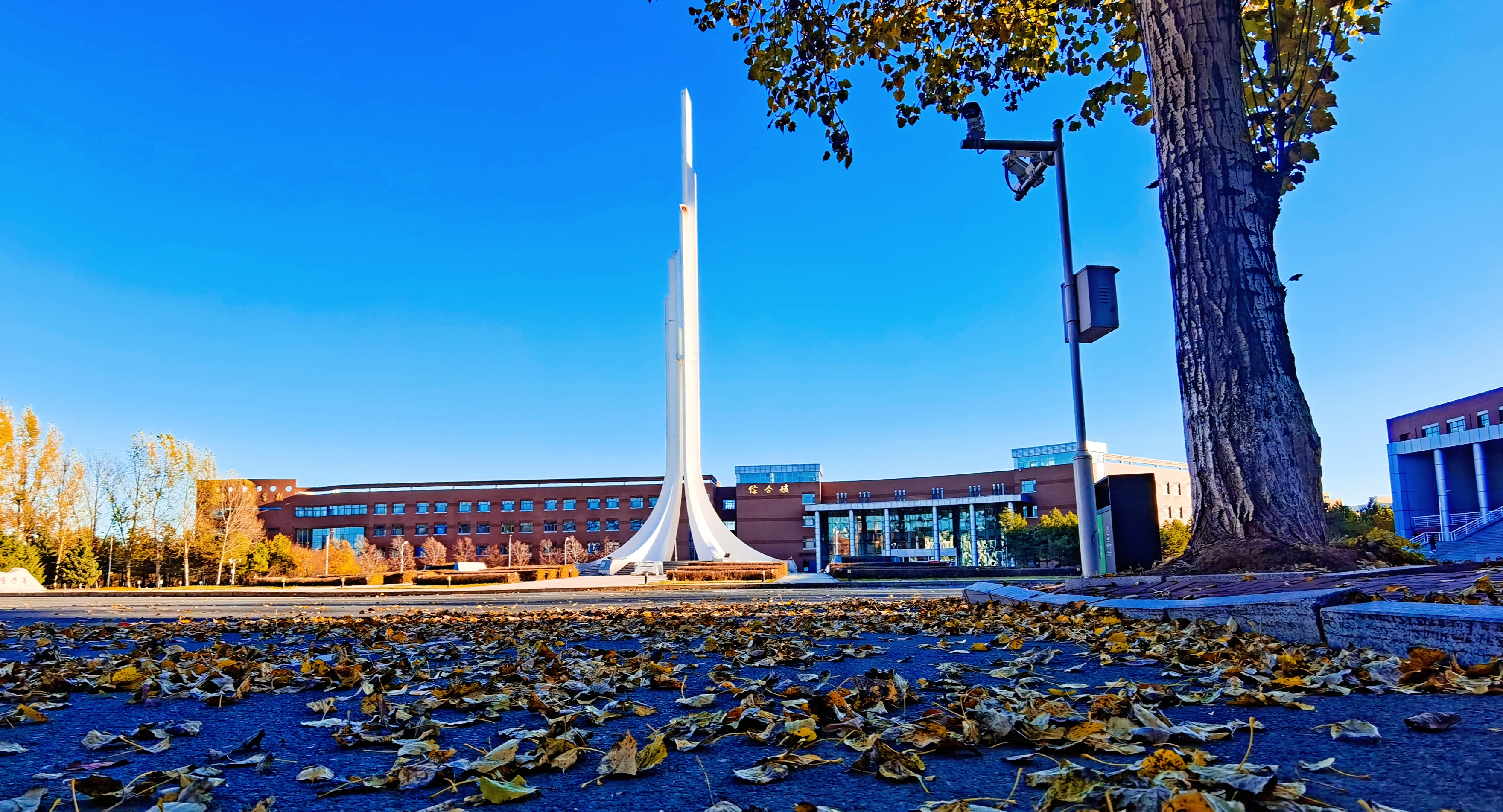 吉林财经大学 gallery image 2