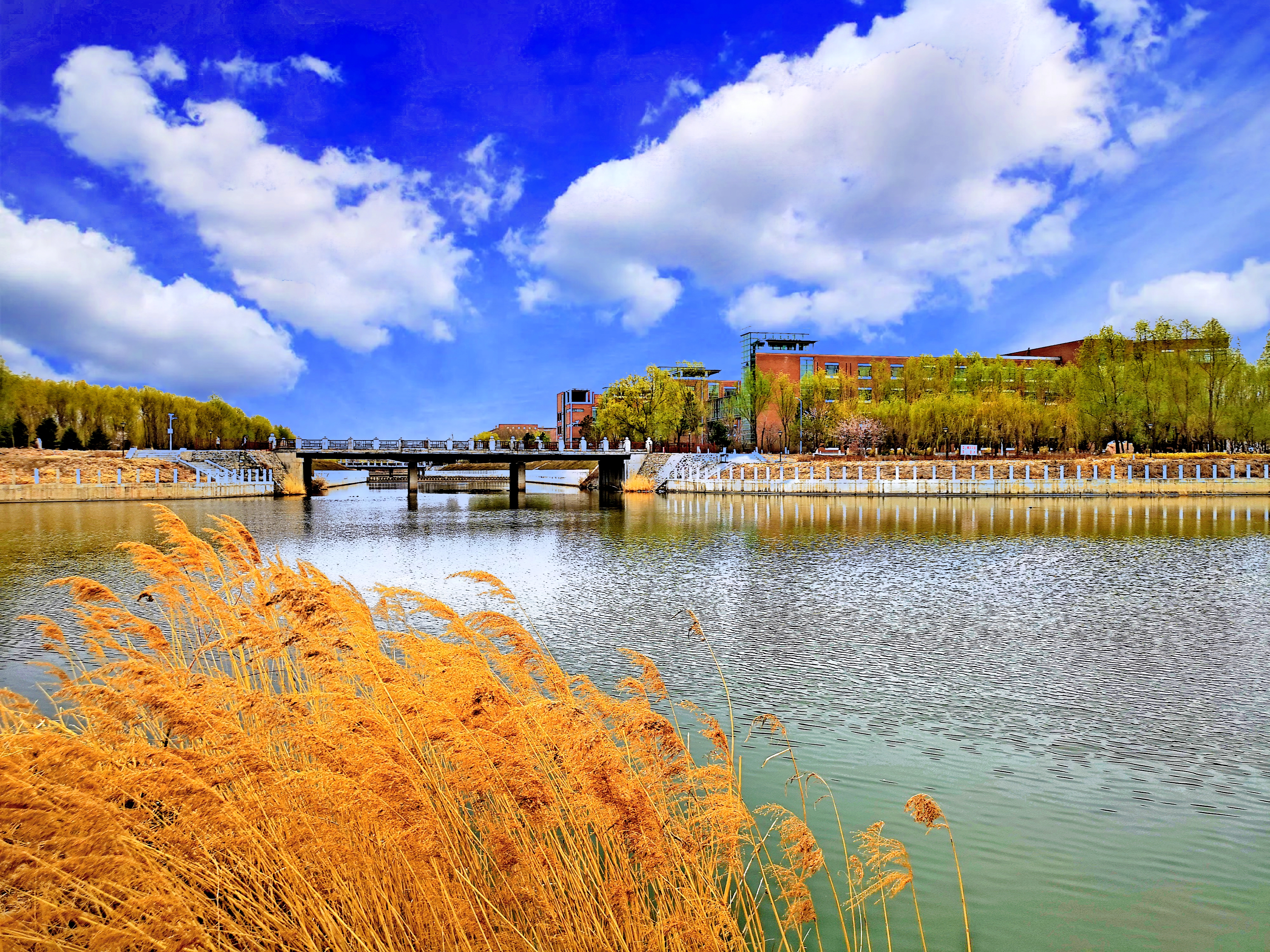 吉林财经大学 gallery image 3