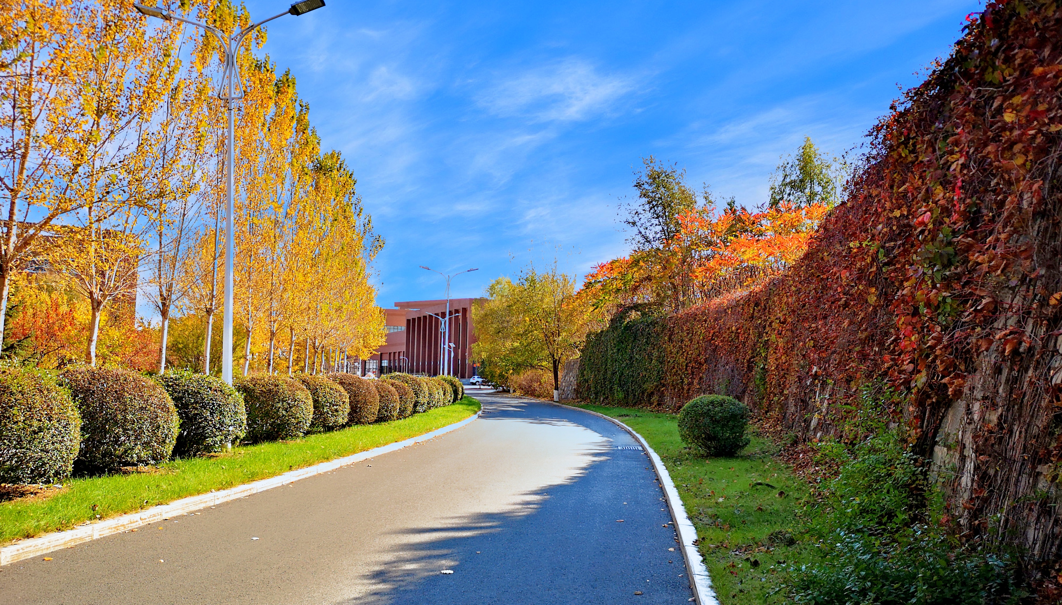 吉林财经大学 gallery image 4